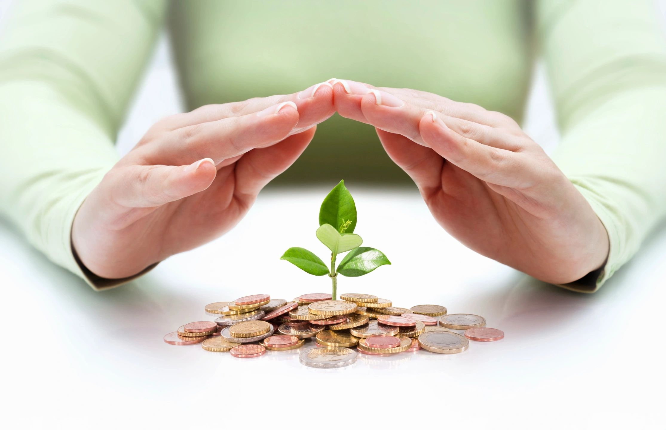 Asesoría financiera y seguros
